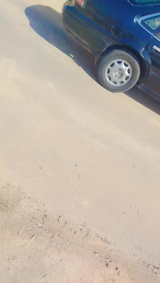 برنس موديل 95جاهزه
سنويه صار شهر صاقطه رقم بغداد 
السياره جاهزه كير مكينه حديديه 
تخم تاير خير من الله 
صبغ جماليه متعوب عليها ماتعبك ابد 
***********
مكاني نجف خريه 
السعر 30بيها مجال قليل حك الجيه
