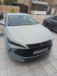 كن L • ٢٠٢٥ • للترقيم