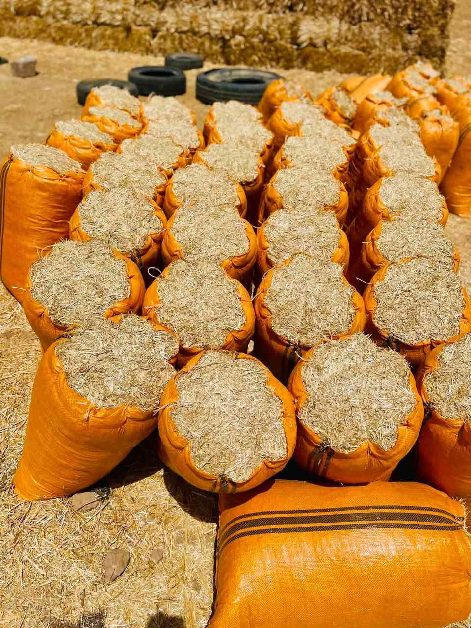 وينه اليدور النضيف تبن ستندر ابيض وناعم ونضيف وترس فول تفرغ ب طوله مالت الحلال گدام السايق موجود جميع القياسات وتوصيل موجود بغداد_محاويل_لطيفيه_بابل_كربلاء_واسط_النجف_ديوانيه_يجيك شرط نفس الصوره اتصل ع رقم متواجد واتساب *********** موجود مطروح وبأنسب الأسعار
