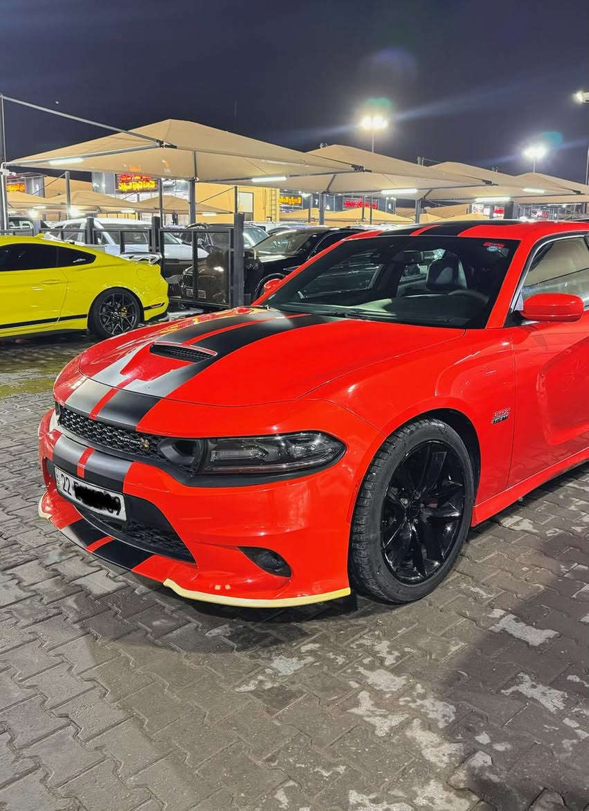 - وحش الطرق SRT 
- جارجر 2019 (سكات باك)🔥 
- محرك V8   6400 🔥

للاتصال : *********** 

- خليجي وكالة هارلم عداد 300
- لون مميز 
-ماشية 55 الف ميل 
-فول مواصفات للاخير 1/1  
-رقم اربيل تحويل شوكت متريد

رقم صاحب السيارة : ***********

مواصفاتها :
رادار امامي ورادارات جانبية
سلايد فتحة قمارة
تشغيل عن بعد 
اربع انظمة قيادة
سستم سماعات الباين
دشبول تطريز خياط
تدفئة وتبريد كشنات
كشنات كهرباء 
خزن ميموري للمقاعد
كشن حاضن كنتارا مع ختم النحلة 
شاشة كبيرة
كاميرا دوارة
معتم المرآة
شفتات ستيرن 
بصمة ابواب ودخول ذكي
فجوج برمبو
وجميع المواصفات الأمريكية 

السيارة عليها ادامة جديدة ما ناقصها شي

حادث السيارة :
صبغ جاملغ خلفي وتبديل باب السائق  وبارد خفيف بالجنطة وحافة الباب والقمارة بدون تكم بدون ايرباك

كير ومحرك كفالة
