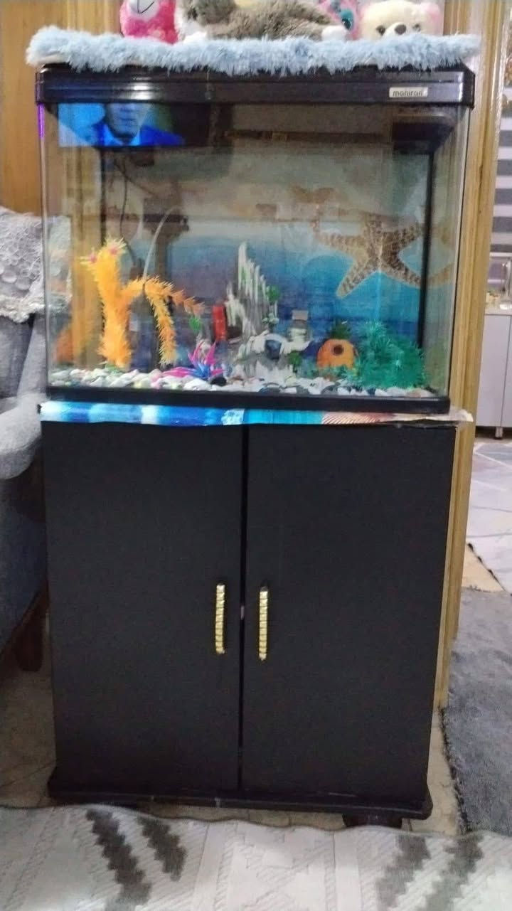 غراض للبيع والاستعمال نظيف
1-مكوى بخاري يدوي110
2-حوض سمج 125واحد من اليدات مكسوره والشمعه مال الحوض محروكه 
3-المرجوحه150
رقم الموبايل ***********
