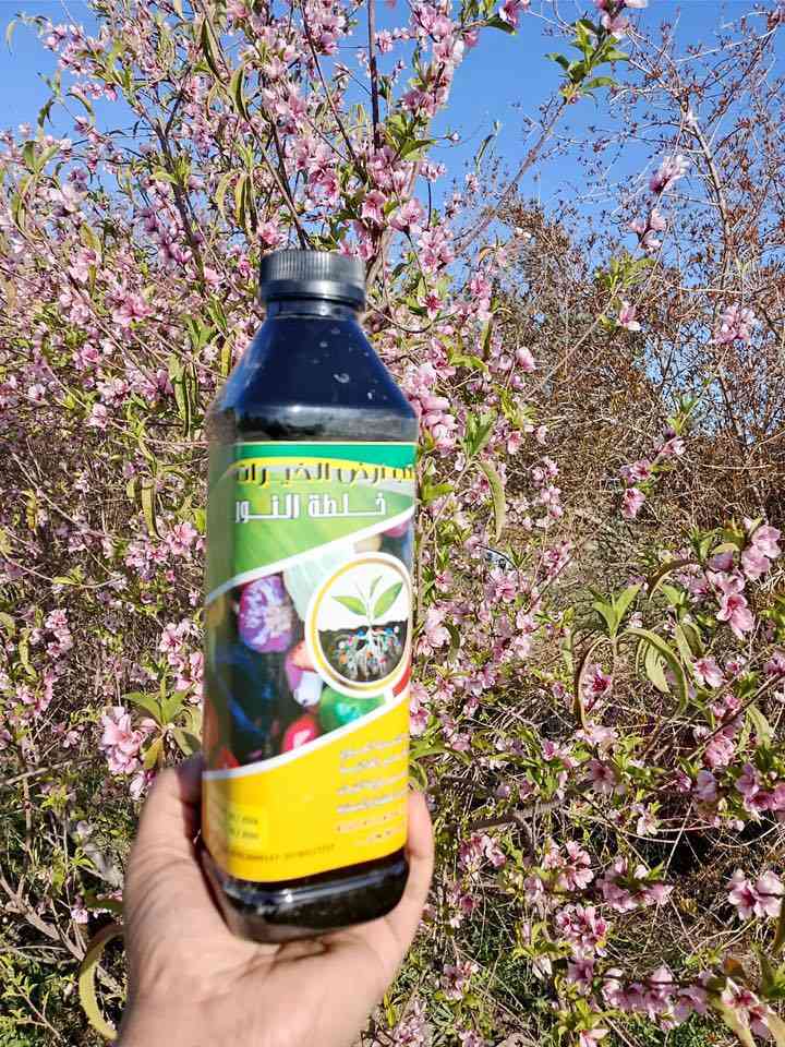 سماد خلطة النور السائلة
الخلطة المتكاملة اللي تخلي الزرع يفور ويخضر بسرعة ويعطي نمو قوي خلال أيام قليلة.

💥 العرض الخاص:
✅ سعر 2لتر  فقط 15 ألف
✅ 3 لتر بـ 20 ألف
✅ 4 لتر بـ 25 ألف
🚚 توصيل مجاني إلى بغداد وجميع محافظات العراق

ليش تختار خلطة النور؟
✔️ منشط نمو قوي
✔️ مزهر للنبات ويزيد الإنتاج
✔️ مجذر يقوي الجذور
✔️ معالج للنبات من الفطريات
✔️ يقلل الأملاح ويحسن التربة

مناسب لـ:
🌴 النخيل
🌳 جميع الأشجار المثمرة
🥬 الخضروات
🌿 النباتات الظلية
🌱 الثيل

⏱️ وخلال 5 أيام فقط تشوف الفرق بعينك!

الخلطة تحتوي على:
🔬 العناصر الصغرى والكبرى
🌿 مواد عضوية مغذية للنبات

📌 طريقة الاستخدام:
1 لتر يخلط مع 100 لتر ماء

📞 للطلب والتوصيل المجاني:
***********
***********

خلطة النور… حياة جديدة لنباتك وإنتاج أوفر بإذن الله 🌱✨
