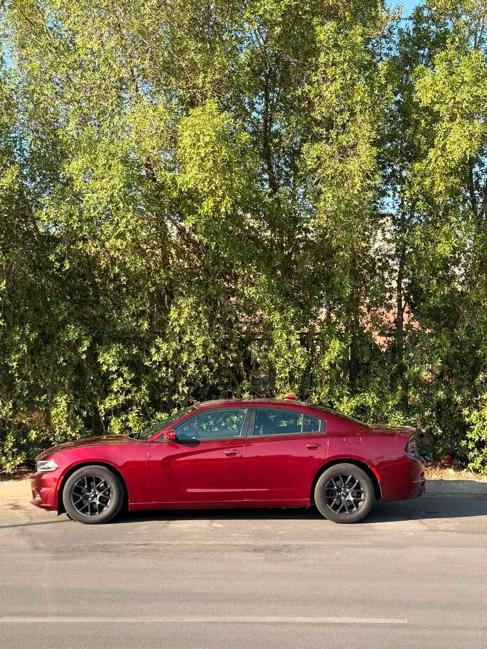 السلام عليكم
جارجر كندي 2018 كلين للبيع
6 سلندر SXT ستندر
ماشية 50 ميل فقط
حساس خلفي شاشة كبيرة كامرة 
مري تعتيم وتدفئة
تدفئة كشنات امامي
ويل 18
السيارة مكفولة كفالة عامة من الصبغ والتبديل والسونار مرفق بلمنشور
رقم بغداد
المكان شارع فلسطين
***********
السعر 21,000
