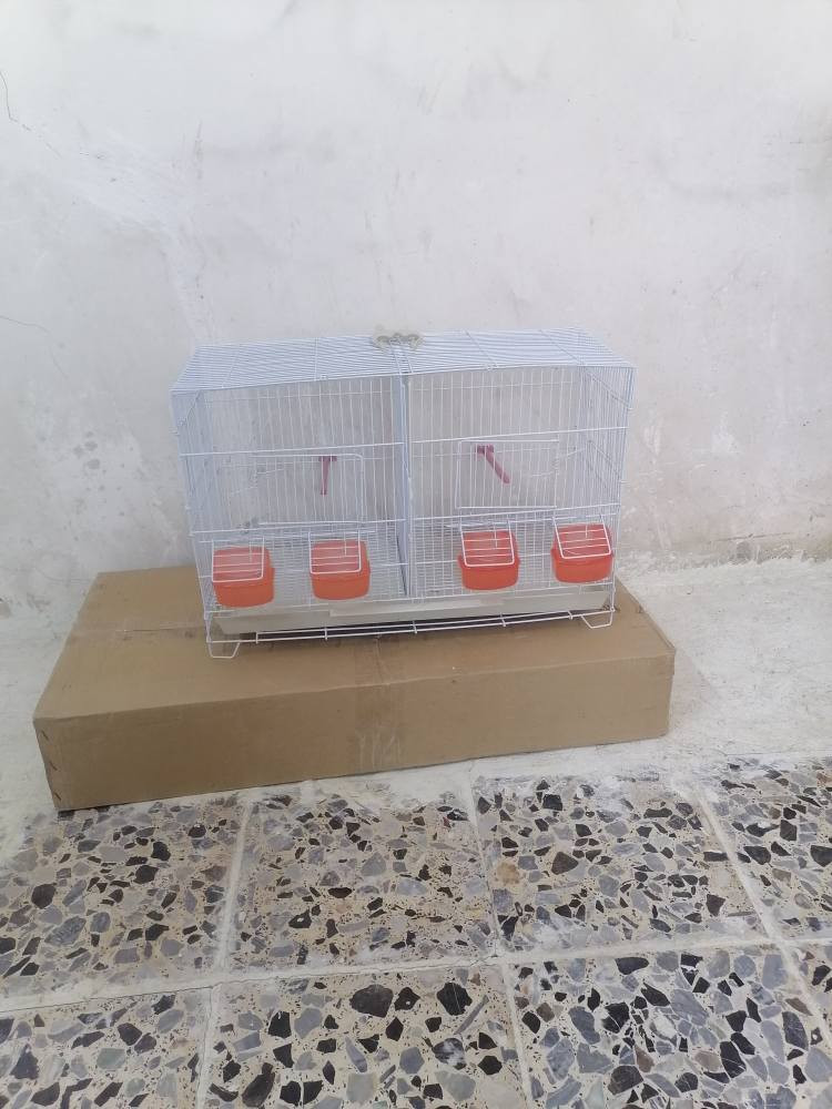 *********** بغداد, العراق
