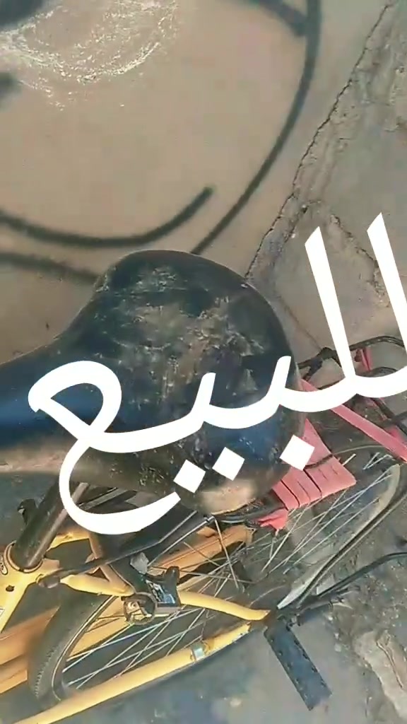 سلام عليكم باسكل للبيع خراضه مضمومات بسعر مناسب مكاني سماوه 🖐🏻


**إذا كنت صاحب هذا الإعلان وتريد حذفه لأي سبب، رجاءا أرسل رسالة إلى الدعم الفني**