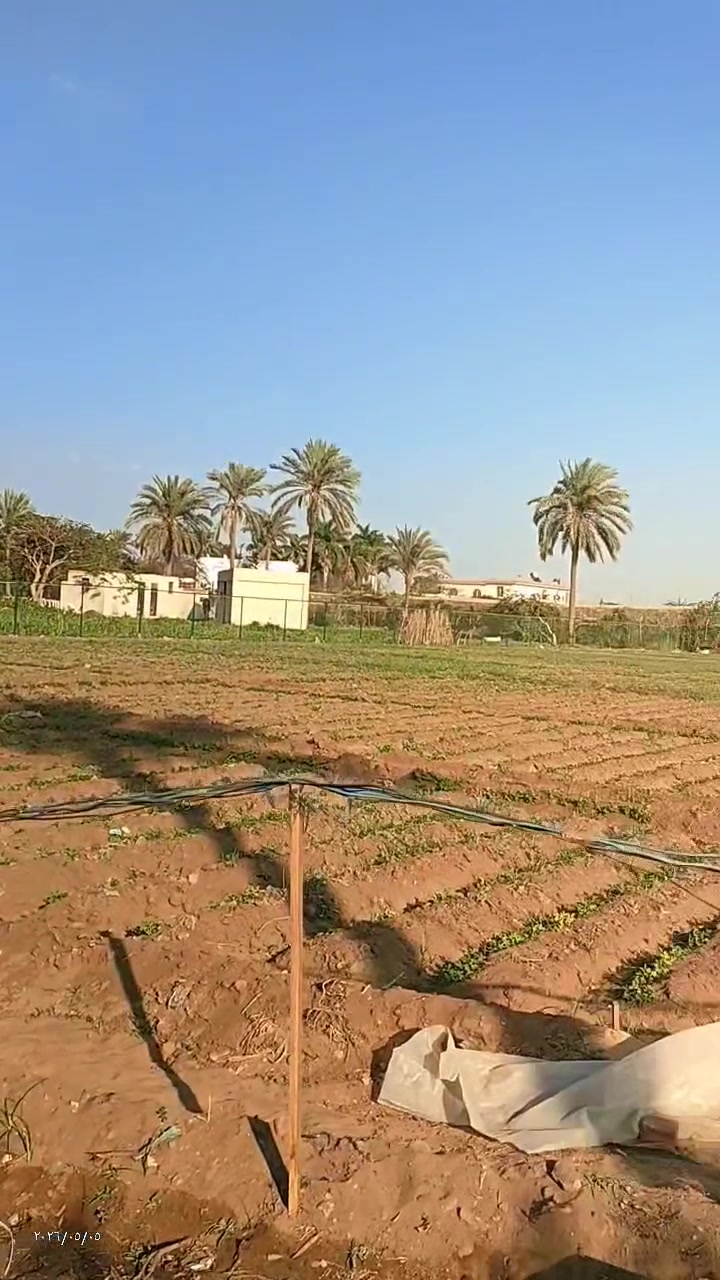 ال قاسم للعقارات المنصوريه 
للبيييييييع 2 فدان ونصف ثاني نمره من الطريق الرئيسي 
طريق المنصوريه هرم جيزه بعد ميدان الصليبه 15 دقيقه زايد داندي مول اكتوبر لوكيشن ممتاز يقع مابين فلل وقصور 
متاح تجزائه من نصف فدان للتفاصيل واتساب او فون 
01287904617


**إذا كنت صاحب هذا الإعلان وتريد حذفه لأي سبب، رجاءا أرسل رسالة إلى الدعم الفني**