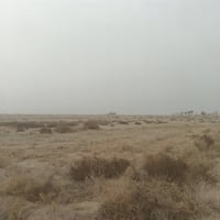 اخوان كيعان ثنين للبيع الوحده 15دونم توجد بيهن ماء وكهرباء الشراي بي خ...