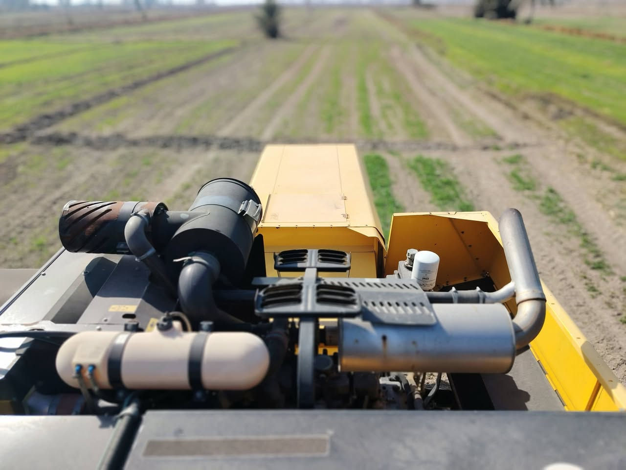 حاصوده البيع ربعه بلم للاستفسار, ***********
