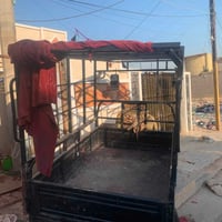 محجر صقر للبيع سعر 150وبي مجال قليل مكاني الحسينيه خدمات مسقط 07703083...