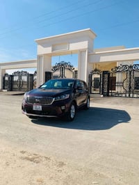 سورنتو أمريكي • ٢٠١٩ • ٧ راكب