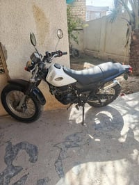 شغال • سلف • مجال حك