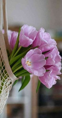 النجف مقابل الغدير • 100م • طابو زراعي