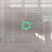 بابل حي الجزائر • ٢٥٠م • طابو صرف