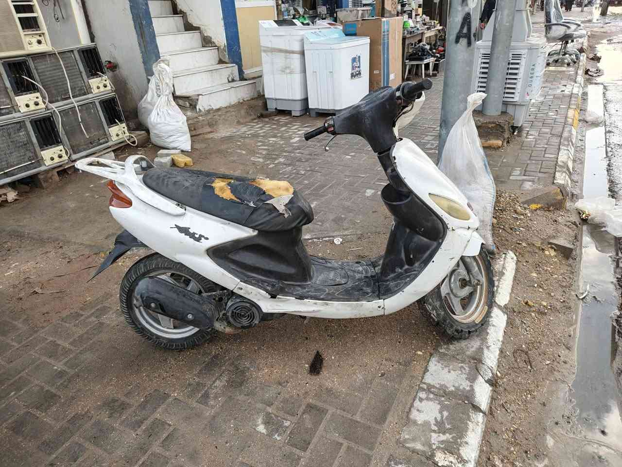 دولفين للبيع شرط الشغل عوزهة بس باتري وتلبيسة كشن السعر ٢٥٠ مكاني رميثة ***********
