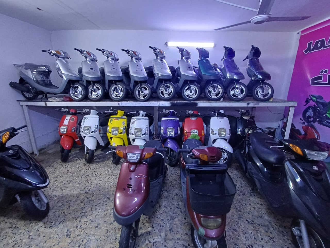 عن عروض رأس السنة
ماكس بوليسي كابريتر ٩٨٠ الف
ماكس بوليسي نوزل شاشة صغيرة ٩٨٠
ماكس بوليسي نوزل مسطرة مليون و١٠٠
ماكس بوليسي داخل كريمي ١٢٥٠
ماكس بوليسي داخل رصاصي مليون و١٥٠
بطة دبل سكليتر ٢٠٠٣ السعر ٨٥٠
بطة تك سلكيتر موديل ٩٩ السعر ٧٥٠
يوماها بيكم ٩٥٠
يوماها بريز مليون فقط
يوماها اكزز مليون و٧٥٠
عنِوان المعرض كربلاء
حي رمضان 
مقابيل مول الإبراهيمي 
***********
***********
