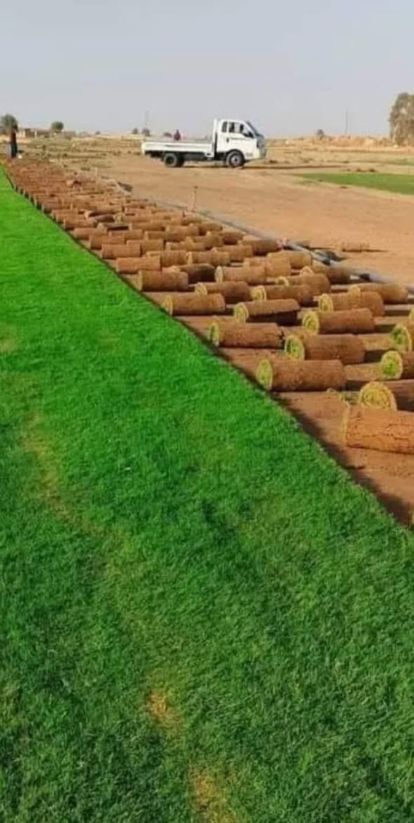 السلام عليكم مع بدء موسم زراعه الثيل وترتيب الحدائق وفرنا لكم جميع أنواع الثيل
ثيل هندي⛳️
ثيل امريكي ⛳️
ثيل ايطالي ورقي ⛳️
ثيل انكليزي جلد الغزال 
ثيل فرنسي ابو الورده 
مستعدين لعمل المنازل �
المتنزهات 🌱
الملاعب الرياضيه 
الدوائر الحكومية 
 🚜توصيل كافة جميع  محافظات العراق🚜
للاستفسار الاتصال 👆👆📲

***********
***********
