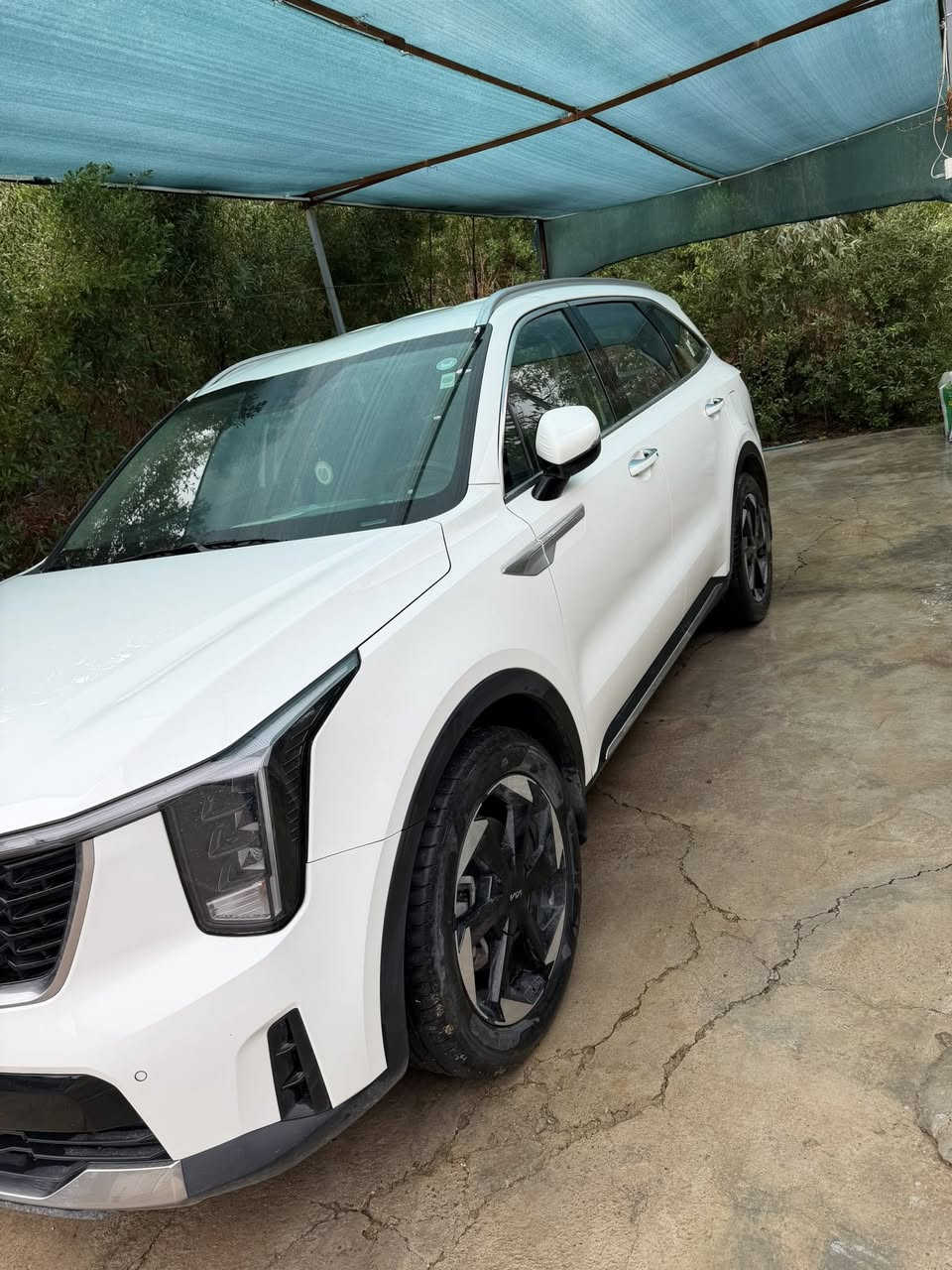 سلام عليكم
سورنتو 2024 ب اسمي شخصيآ تحويل مباشر خليجي  كفاله  عااامه 

اتصال :  ***********

السعر : 270 $  بيه مجااال 

ماشيه 39 الف 

فول 1/1  من عدا البانوراما

4 سلندر

رادار توقف

كشنات كهرباء

 تبريد تدفئة كشنات

اربع كامرات

كير ماوس

 اوضاع قيادة / smart. Eco.  Sport. Normal 

انارة داخليه 7 الوان

هاند بريك بصمه و اوتو هولد

حساس امامي خلفي 

كروز او مثبت سرعة 

جنطة ذكيه عند الاقتراب تنفتح

تلاثه قطع تبريد

نفكيشن ونظام خرائط 

السياره خير من الله جديده
