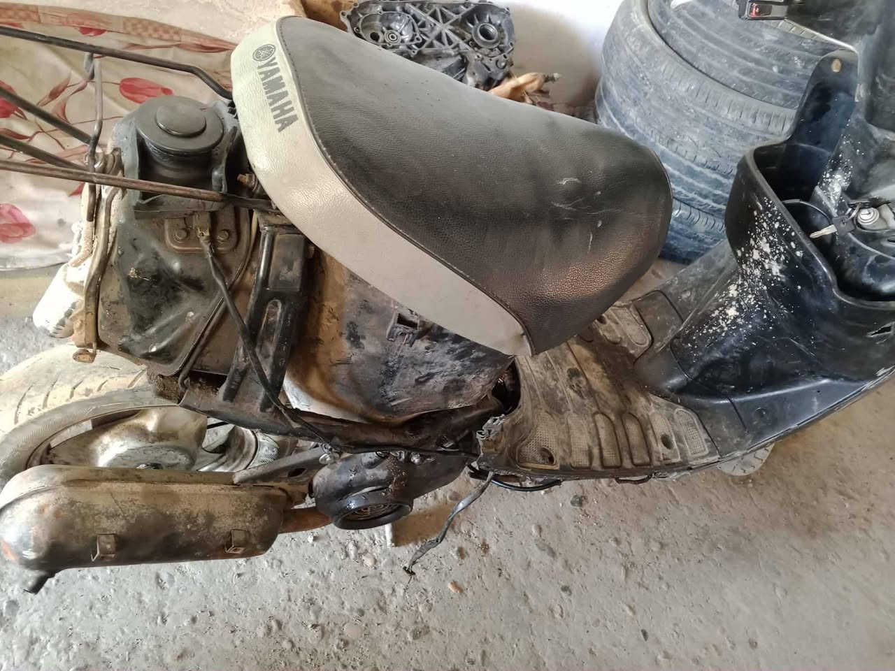 مكلف بلنشر ولاحد يجي خاص يتصل
ماطور بوتين قاطع ناريا شاصي استندر غؤاضو كامله***********
سعر 75
