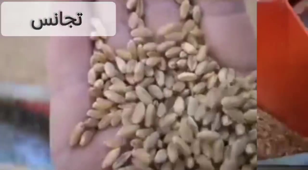 👈🏽تطوير خطوط الإنتاج | الإنتاج القوي يبدأ من الاستقرار. 
⚙️⚙️⚙️

في خطوط الإنتاج الحديثة، لا تُقاس الجودة فقط بشكل المنتج النهائي بل بقدرة الخط على تقديم نفس المستوى من الجودة بشكل مستمر.

وجود مرحلة غربلة فعّالة يعني مواد خام أكثر تجانساً، تشغيل أكثر استقراراً وتقليل المشاكل التي قد تؤثر على سير الإنتاج وجودة النتائج النهائية.

المعامل التي تهتم بثبات الجودة منذ البداية هي التي تبني ثقة السوق على المدى الطويل.
لأن الجودة الحقيقية ليست صدفة، بل نظام يبدأ من أول مرحلة في خط الإنتاج.
⚙️⚙️⚙️⚙️⚙️ 

#مؤسسة_الرفاعي_للصناعة_والتجارة.صناعة يمكنك الوثوق بها.
⚙️⚙️⚙️⚙️⚙️⚙️⚙️

قناتنا على اليوتيوب👇🏽
https://youtube.com/channel/UCOOKZJN5wXGbCBHjdlQrBkA?si=V8jOTfKOV9kQQB1R

⚙️⚙️⚙️⚙️⚙️⚙️⚙️⚙️⚙️

📞طوّر أساس خط إنتاجك لتحصل على نتائج يمكن الوثوق بها كل يوم.

#غربلة_الحبوب
#تطوير_خطوط_الإنتاج
#جودة_الإنتاج
#معدات_صناعية
#خطوط_إنتاج


**إذا كنت صاحب هذا الإعلان وتريد حذفه لأي سبب، رجاءا أرسل رسالة إلى الدعم الفني**