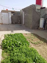 بيت زراعي • ٣٠٠م • قريه اولاد