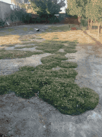 تفاصيل بل فيديو مساحه 1100متر مكان نهروان قرب معمل الثلج شارع الشمري استفسار ***********
