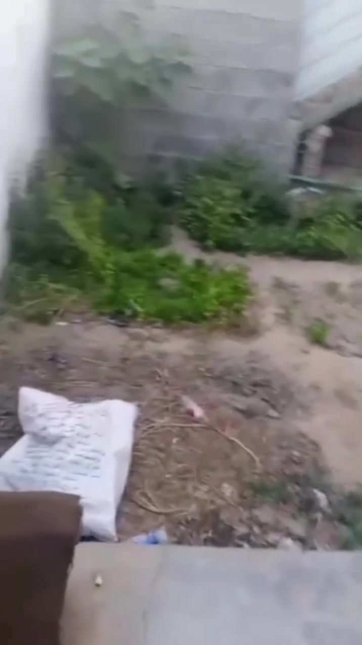 بيت للايجار
السلام عليكم يوجد بيت للايجار غرفتين وهول ومطبخ بشارع عشرين قرب شارع خاشع ايجاره 400 الف بالشهر 
رقم التواصل ‭***********‬
