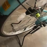 للبيع او مراوس السعر 160 هاذا رقمي 07881173080 بي واتساب وتلي