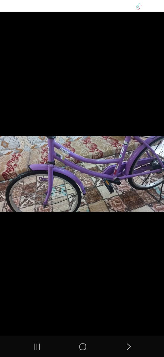 سلام عليكم باسكل للبيع في الديوانيه قرب جامع شاكر هندس الحجم ٢٠موديل 2022


**إذا كنت صاحب هذا الإعلان وتريد حذفه لأي سبب، رجاءا أرسل رسالة إلى الدعم الفني**