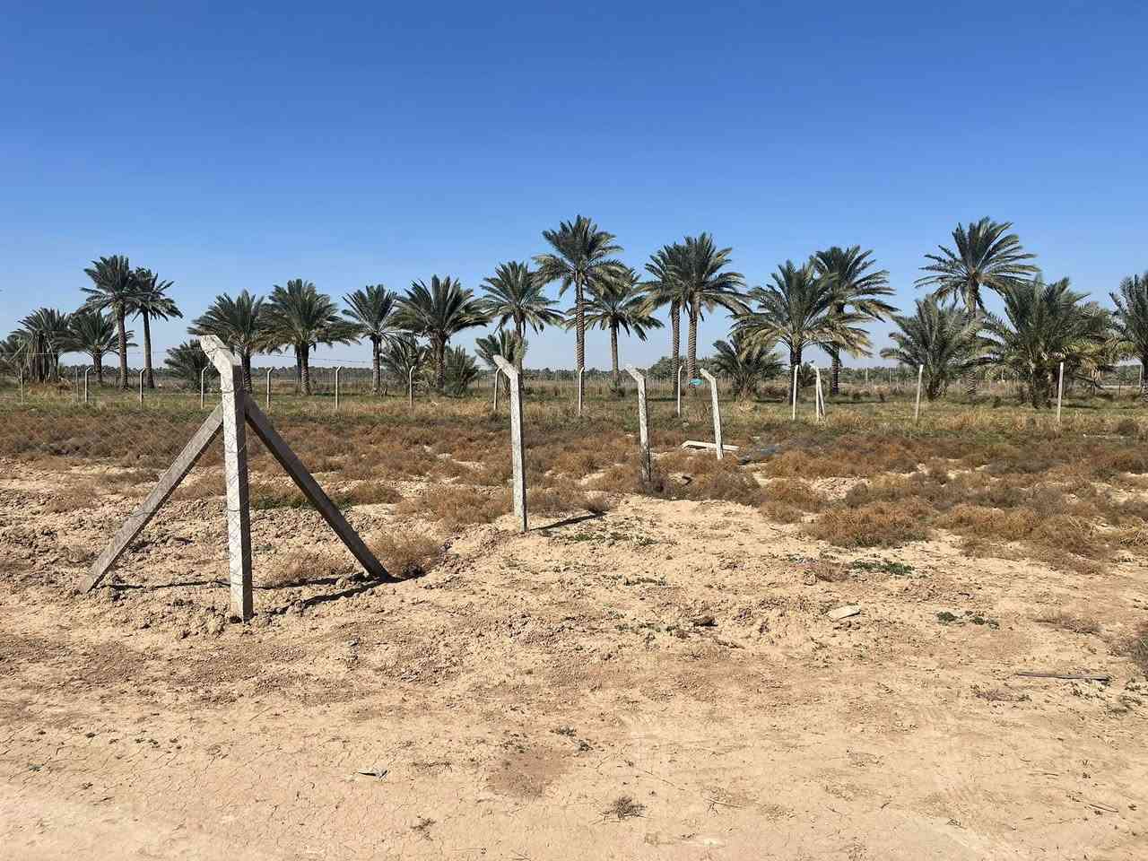 السلام عليكم
قطعة ارض طابو زراعي للبيع

قرب العلوية شريفة (ع) - نهاية شارع مزرعة النخيل 

مساحتها ١٠٠٠ متر مربع مسيجة BRC واجهة ٣٨ م نزال ٢٦ م

سند زراعي بأسمي 

علماً توجد قطعة مجاورة لاحد الاصدقاء نفس المساحة بالامكان الاتفاق على بيعها 

للأستفسار : ***********
