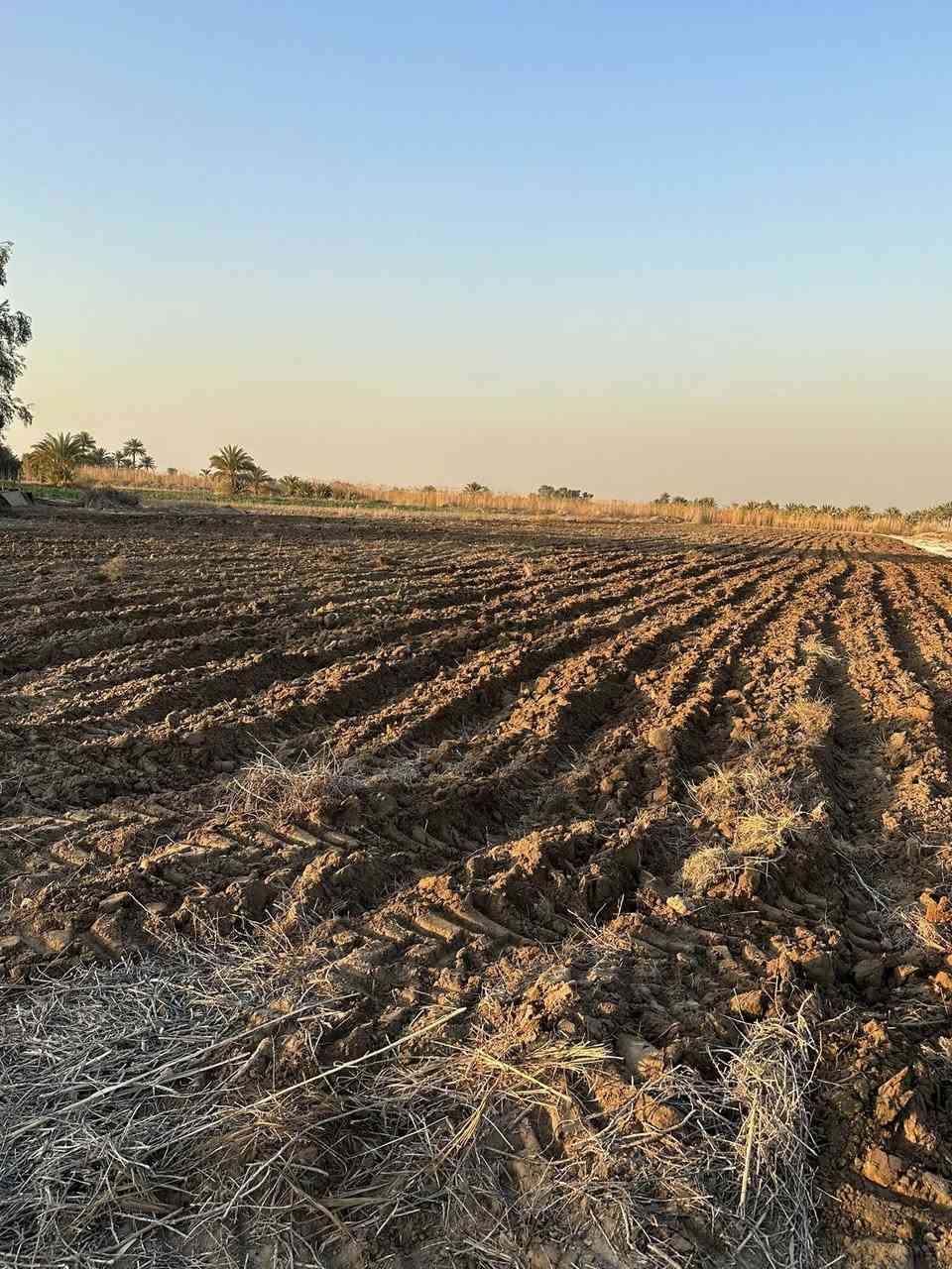 سلام عليكم
آرض للبيع كلش حلوة ومخدومه تحويل مباشر طابو سند/٢٥/مساحةً الارض/٤/دوانم تباع حسب طلب او كلهه كافة الخدمات متوفرة ماء اساله ماء سقي كهرباء تبليط عنوان بغداد اليوسفيه جسر صبار استفسار واتساب ***********
