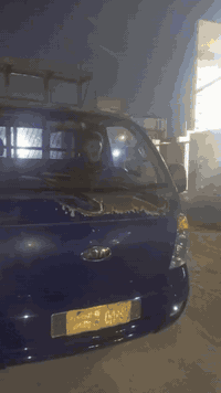 السلام عليكم
كي بنگو 3 مكينة مسكر محور بم ونوزل 
موديل 2005 الياخذ صافي تحويل رقم جديد الشراي يتصل ويدلل مستعجل على البيع 
الرقم ***********
