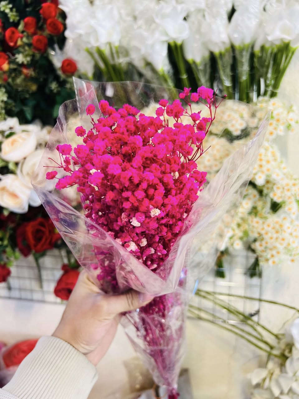 مساء الخير زبائن متجر اللؤلؤة 
توفر جميع الوان ورد🌷 الجبسوفيل المجفف ب اسعار تنافسية
 عنوانه : طويريج حي المثنى شارع الفوج 
للتواصل واتساب :***********
