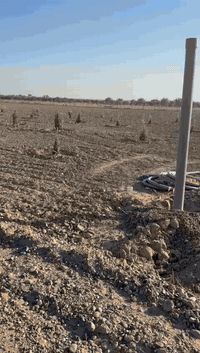 دوانم لبيع في التاجي كامل خدمات وقريبات عا الشط طابو زراعي سند ٢٥ للست...