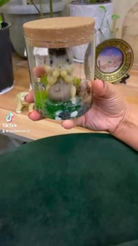 شموع معطرة • صناعة يدوية • لاكاسا تورج