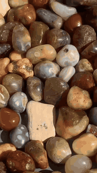 مجموعه احجار من السليماني الخام شلعه وحده اليريدهن يراسل


**إذا كنت صاحب هذا الإعلان وتريد حذفه لأي سبب، رجاءا أرسل رسالة إلى الدعم الفني**