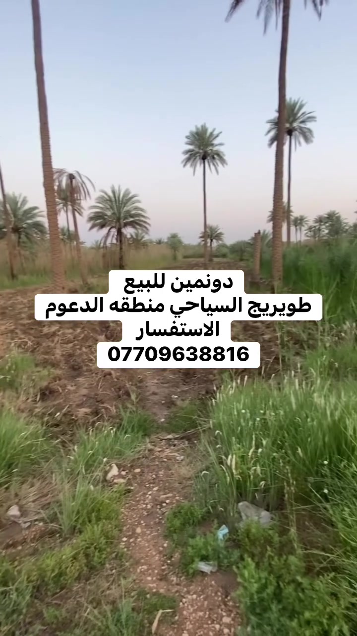دونمين للبيع
طابو زراعي سند 25تحويل مباشر

كافه الخدمات مي سقي مي اساله كهرباء

طويريج السياحي منطقه الدعوم طريق الشوجيه

السعر 160مليون لدونمين وبيه مجال 

الاستفسار

***********
