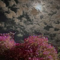 وظائف متعددة • نسائية ورجالية • دلفري دراجة