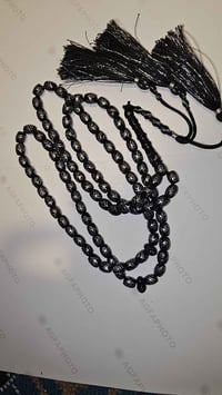 يسر مصري • تطعيم فضة • ١٠١ حبة