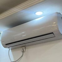 سبلت • ٢ طن • موسم واحد