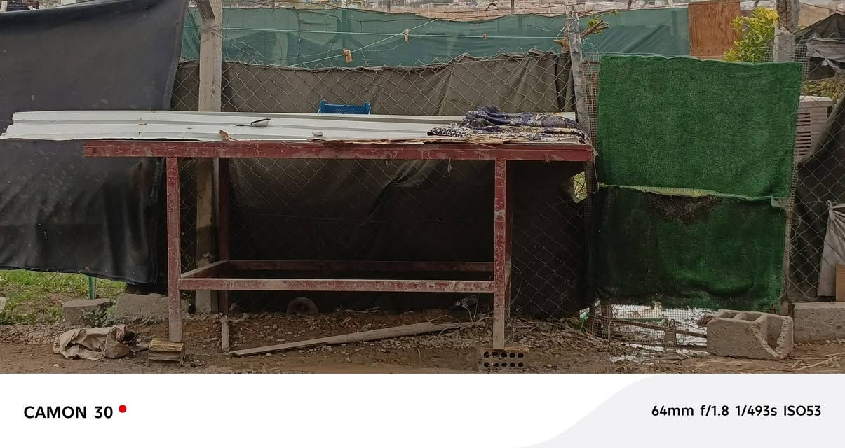 للبيع ميز حديد تفصال


**إذا كنت صاحب هذا الإعلان وتريد حذفه لأي سبب، رجاءا أرسل رسالة إلى الدعم الفني**