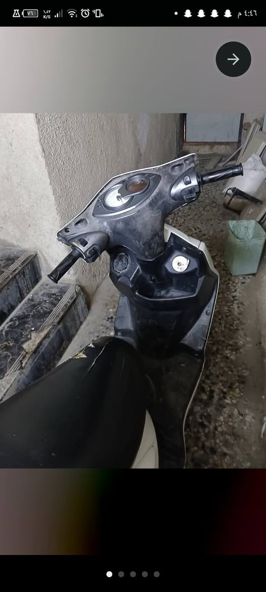 سكنس فحل للبيع مكفوله محرك بلادي مكان بغداد ***********
