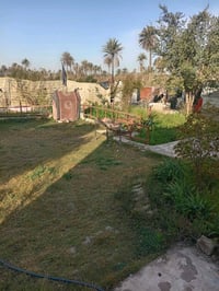 دونم زراعي • سند ٢٥ • قرب سيطره الرشيد