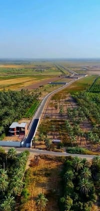 فرصة استثمار 12 دونم طابو ملك صرف على شارع السدة عرب جبور تباع كاملة ا...