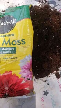 بتموس هولندي • بتموس عراقي • الرمادي العزيزية