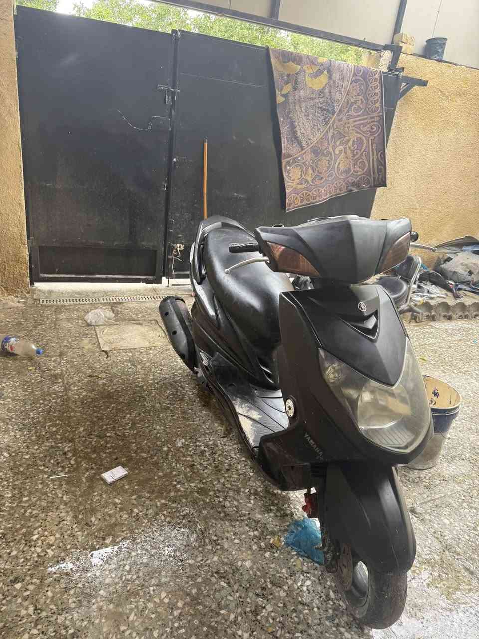 متاح سكنس فحل نوزل خطين طلاعات كوري قبغ مسح مكينة حلوى شلعة معدل خير من الله كهربائياتها شغالة فقط دشبول طافي اوراقها موجودة سعرها ٦٠٠ بغداد البياع ***********
