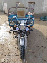 ستوته • صقر • اوراق اصولي