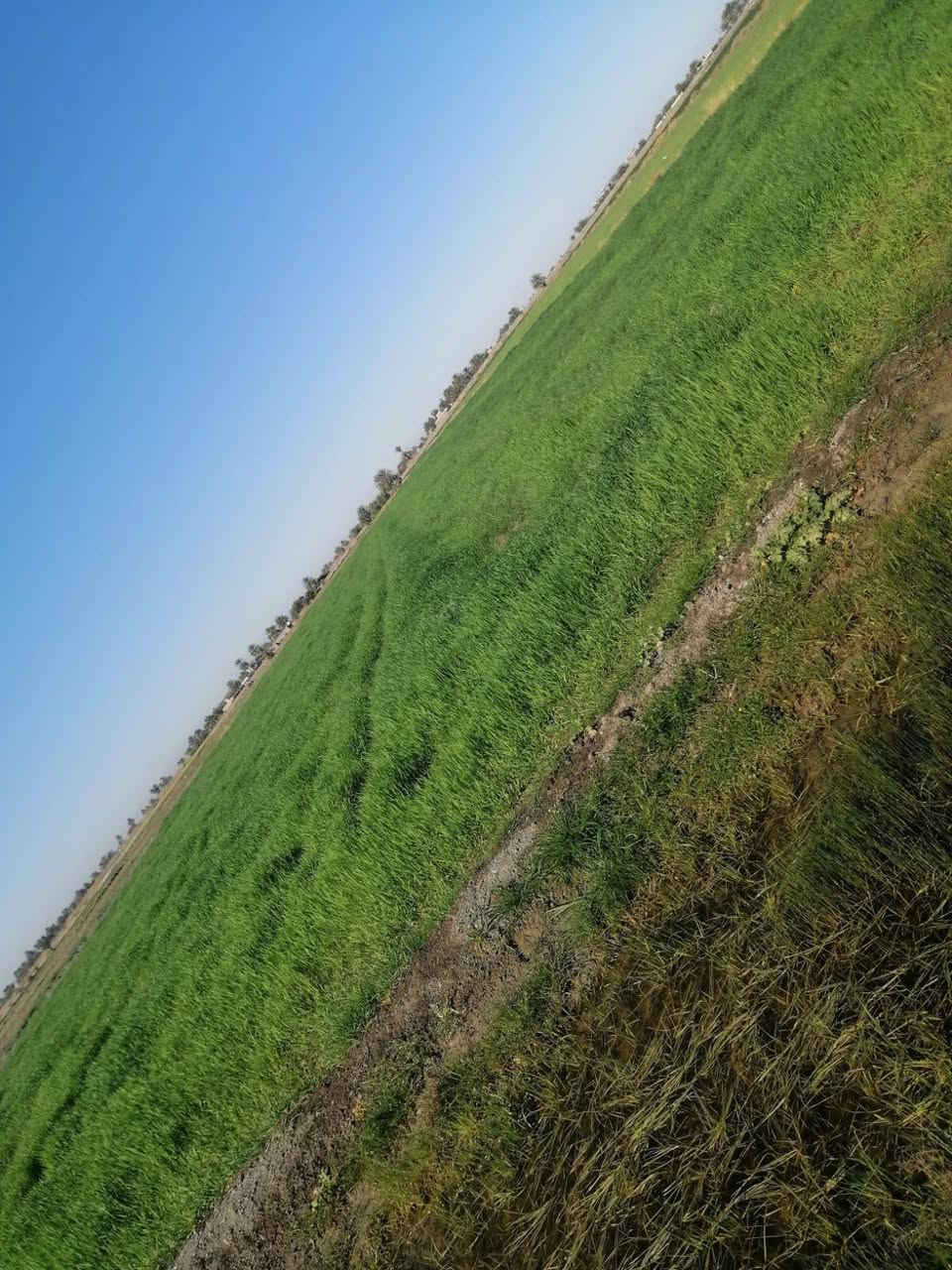 السلام عليكم أرض للبيع مساحه 33دونم منطقة شيخ عامر قريبه على ذراع دجله ماء كهرباء واجهه 40ونزال70 موقع حلو سعر ه 35وبيه مجال الاستفسار اتصل *********** واتساب
