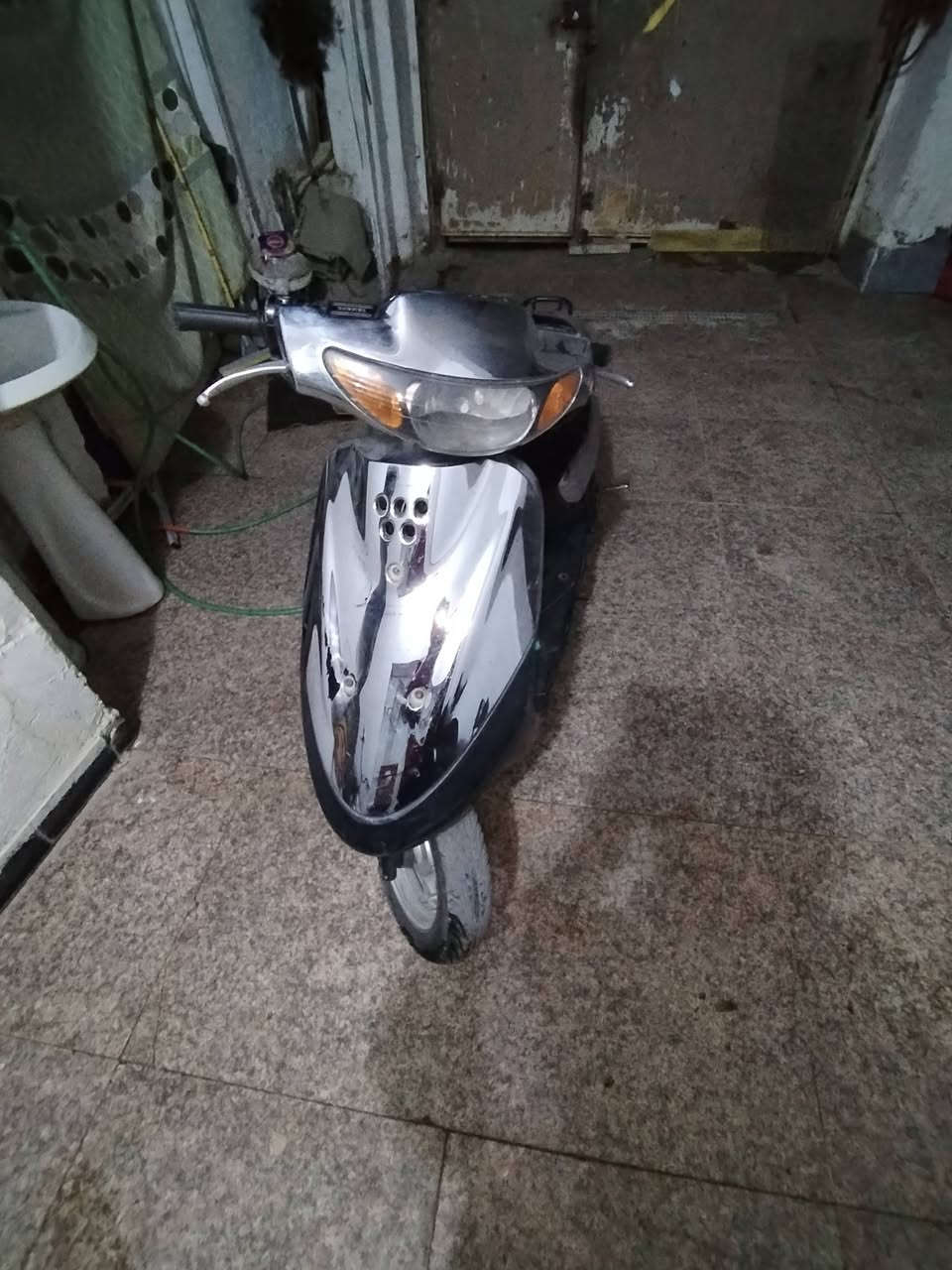 منغولي فحل الدراجه جاهزا لبيع شلع ومشي السعر ٢٥٠ وبيه مجال ***********
