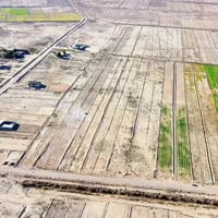 تبليط البوراشد • ٣ دونم • سند ٢٥