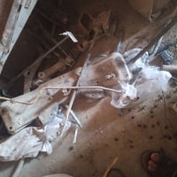 غراض هيفه زغيره تفصيخ الستفسار على 07811688501